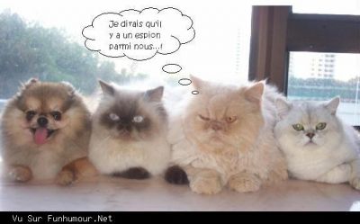 Cherchez l'erreur !!